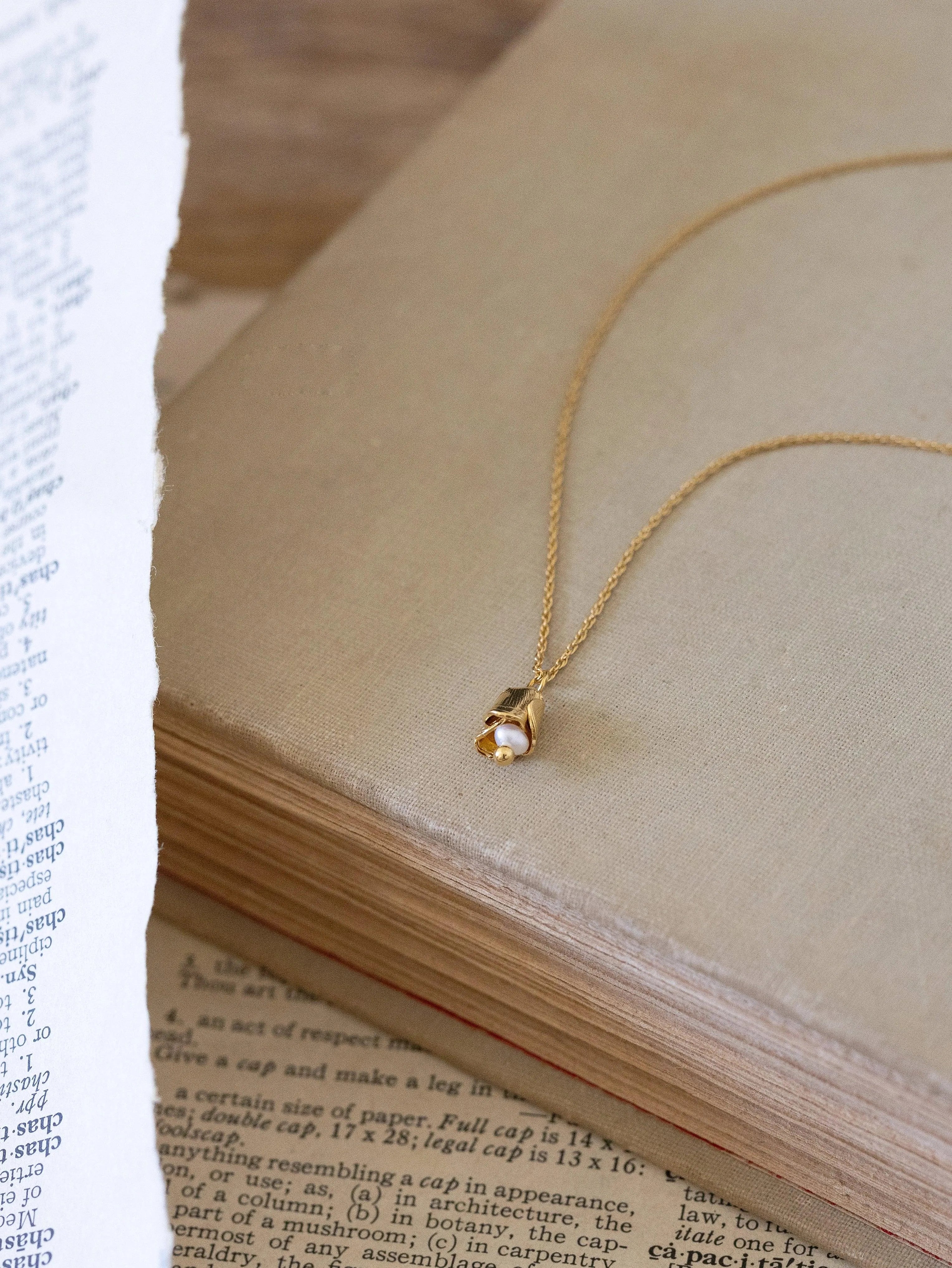 DEVON CO-Colliers / Necklaces- Bijoux dorés -Les Petites Pampilles