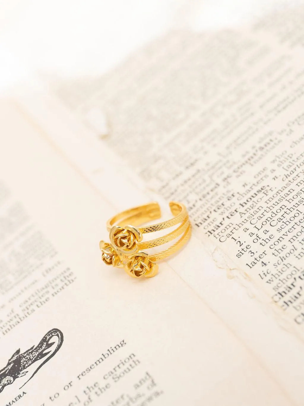 GWEN BA-Doré-Les Petites Pampilles