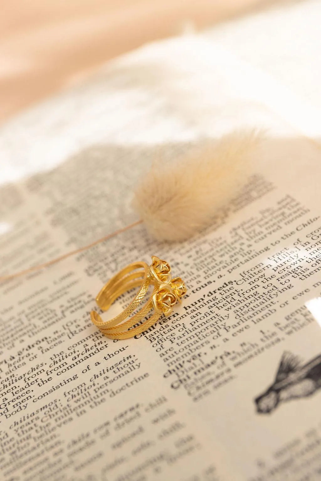 GWEN BA-Doré-Les Petites Pampilles