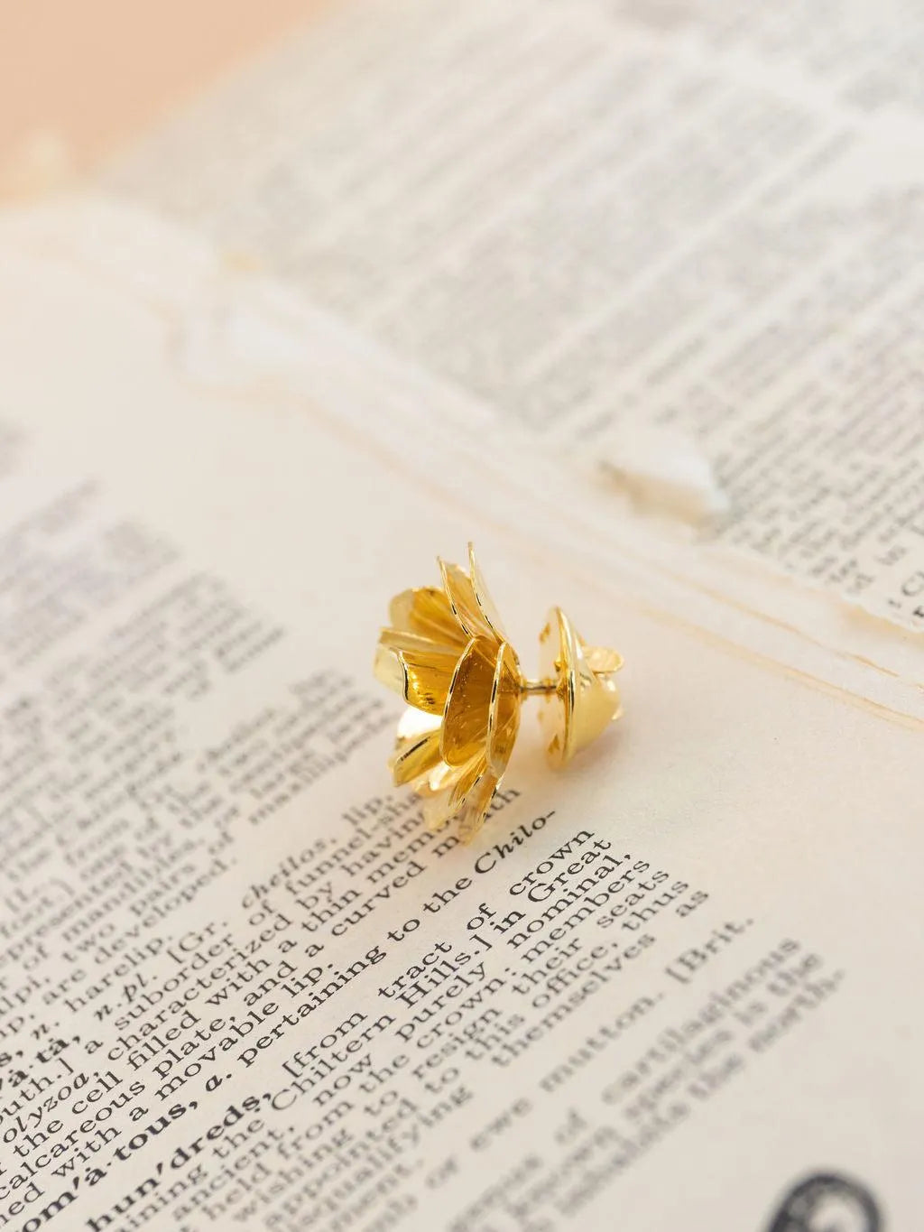 LINA T1 / T2 PINS-Les Petites Pampilles