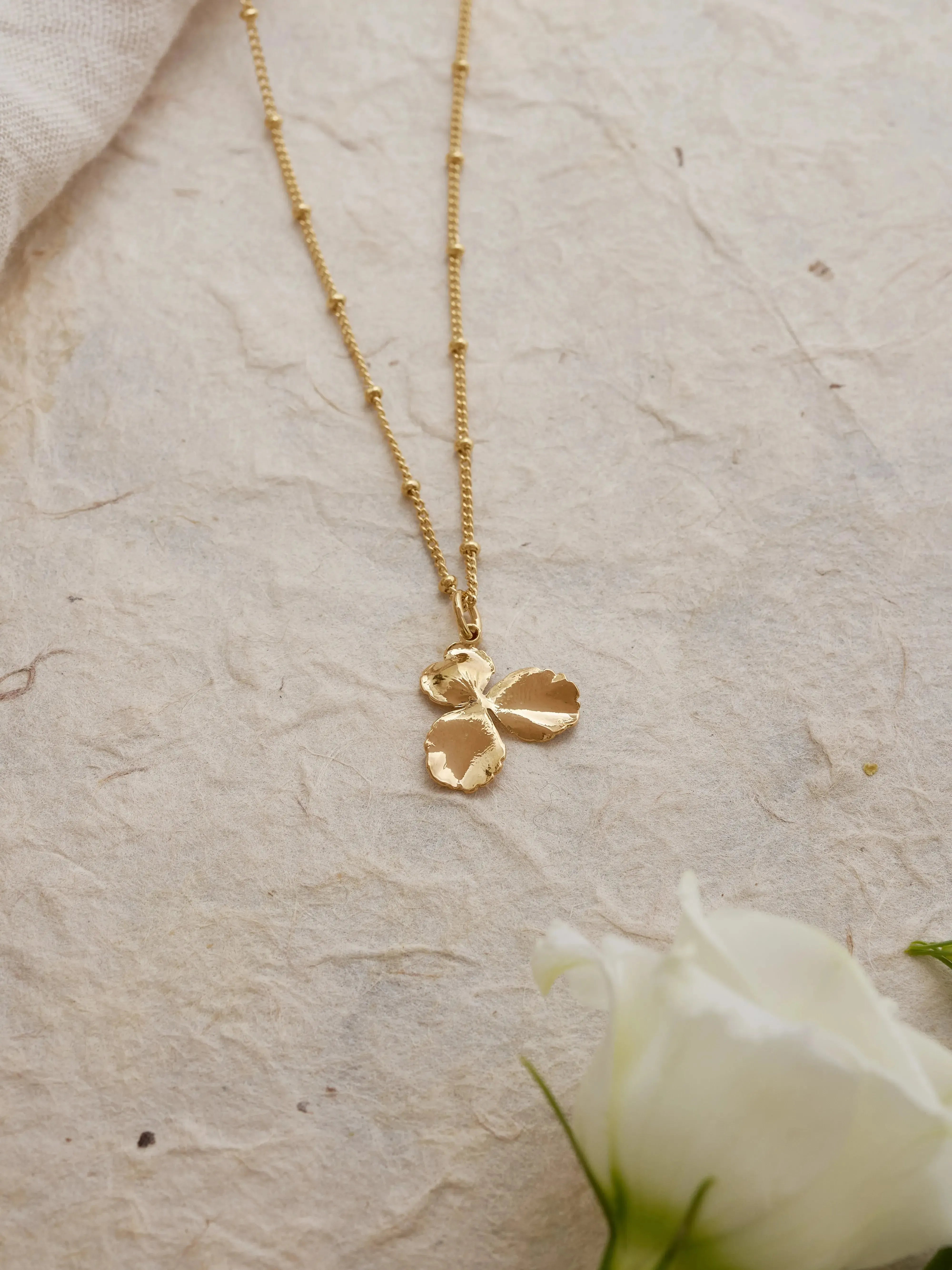 PIENSA CO-Colliers / Necklaces-Les Petites Pampilles