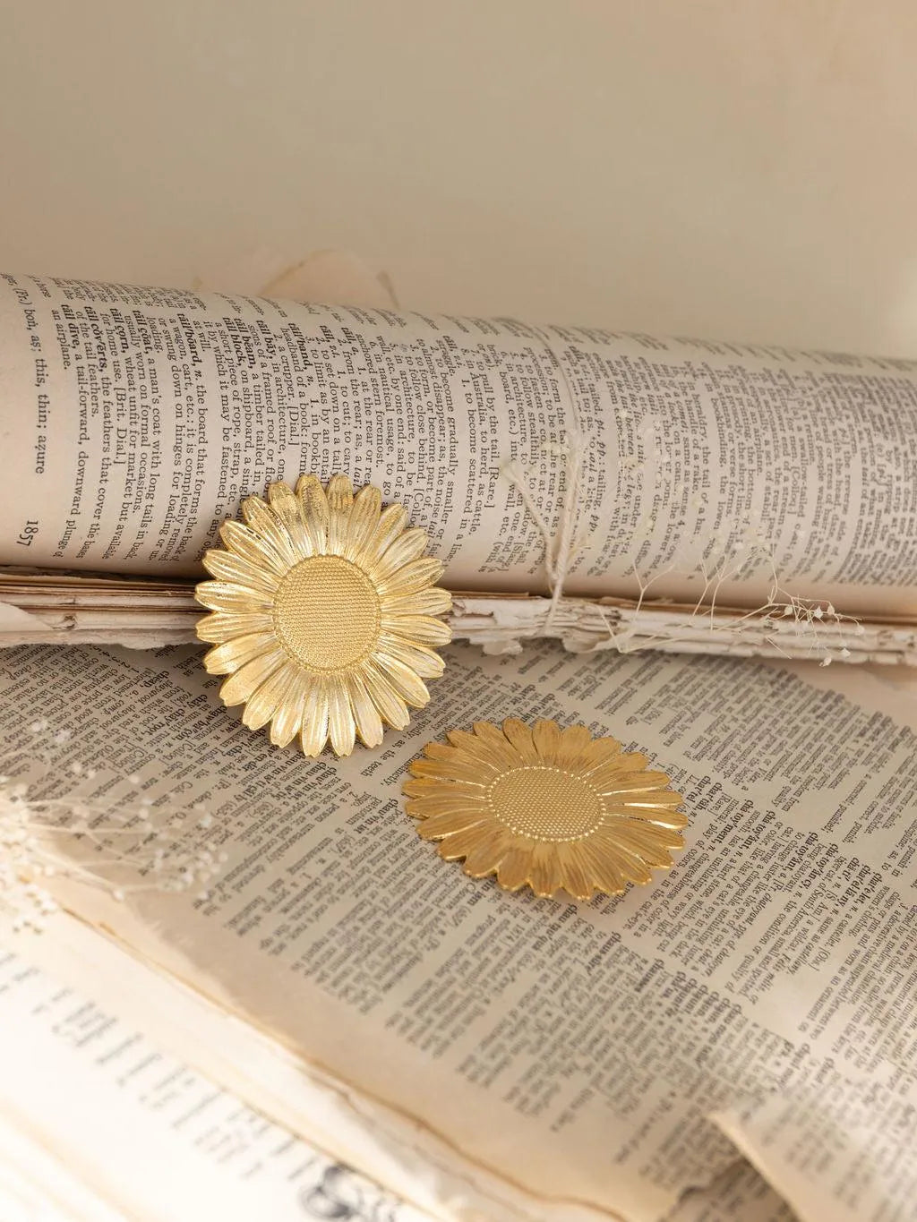 RAIPONCE BO-Les Petites Pampilles