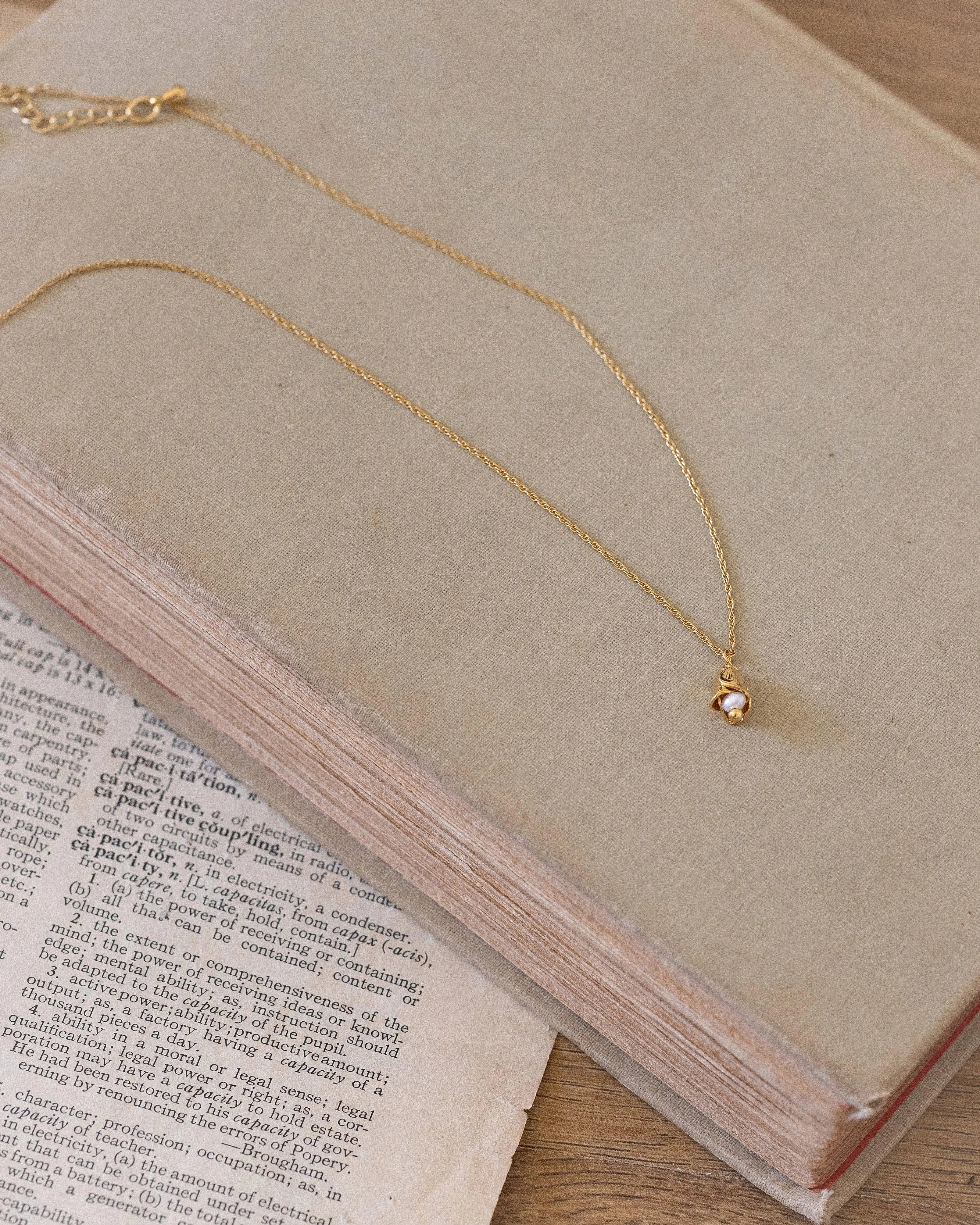 DEVON CO-Colliers / Necklaces- Bijoux dorés -Les Petites Pampilles