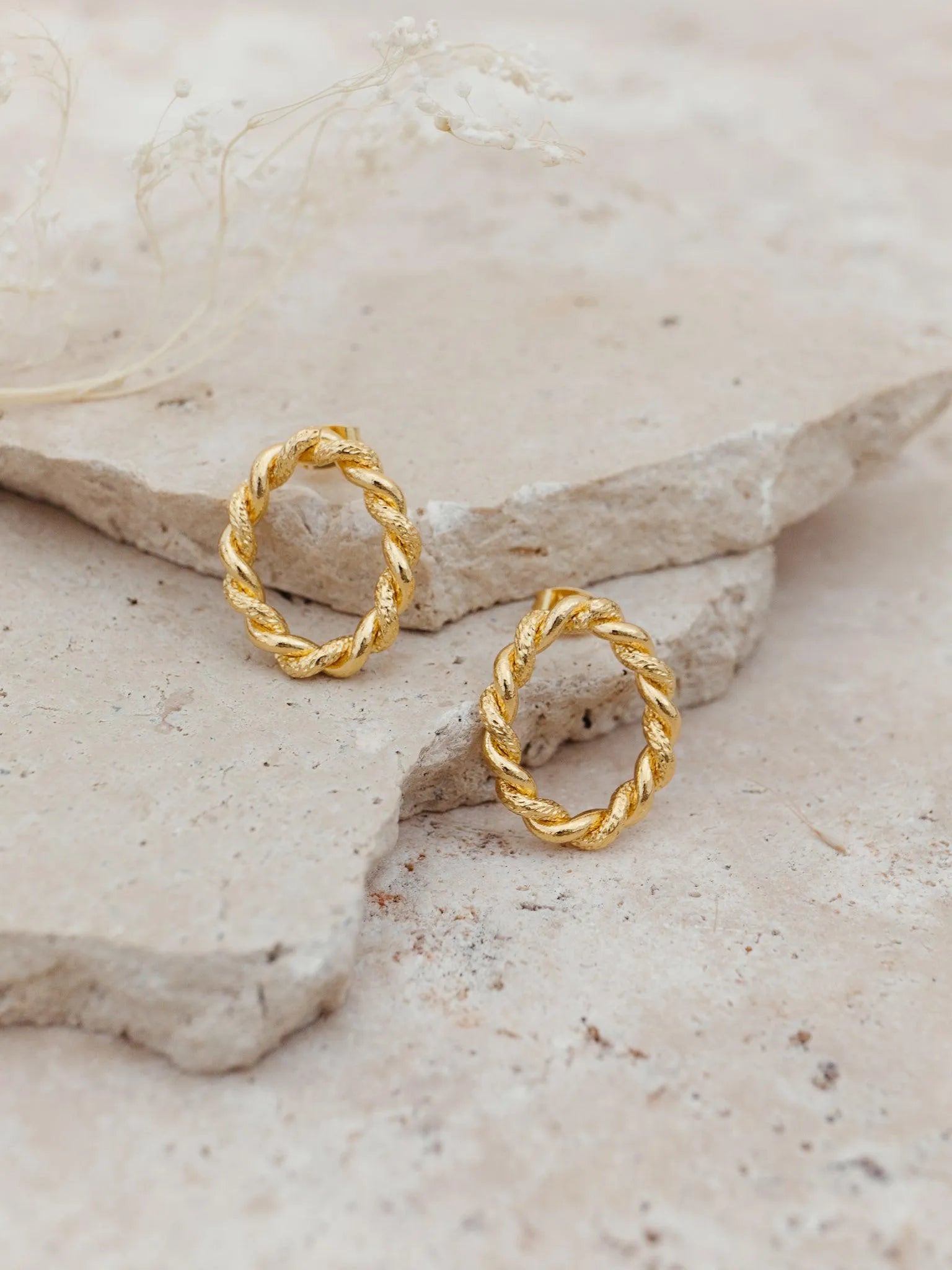 LEVY BO-Doré-Les Petites Pampilles