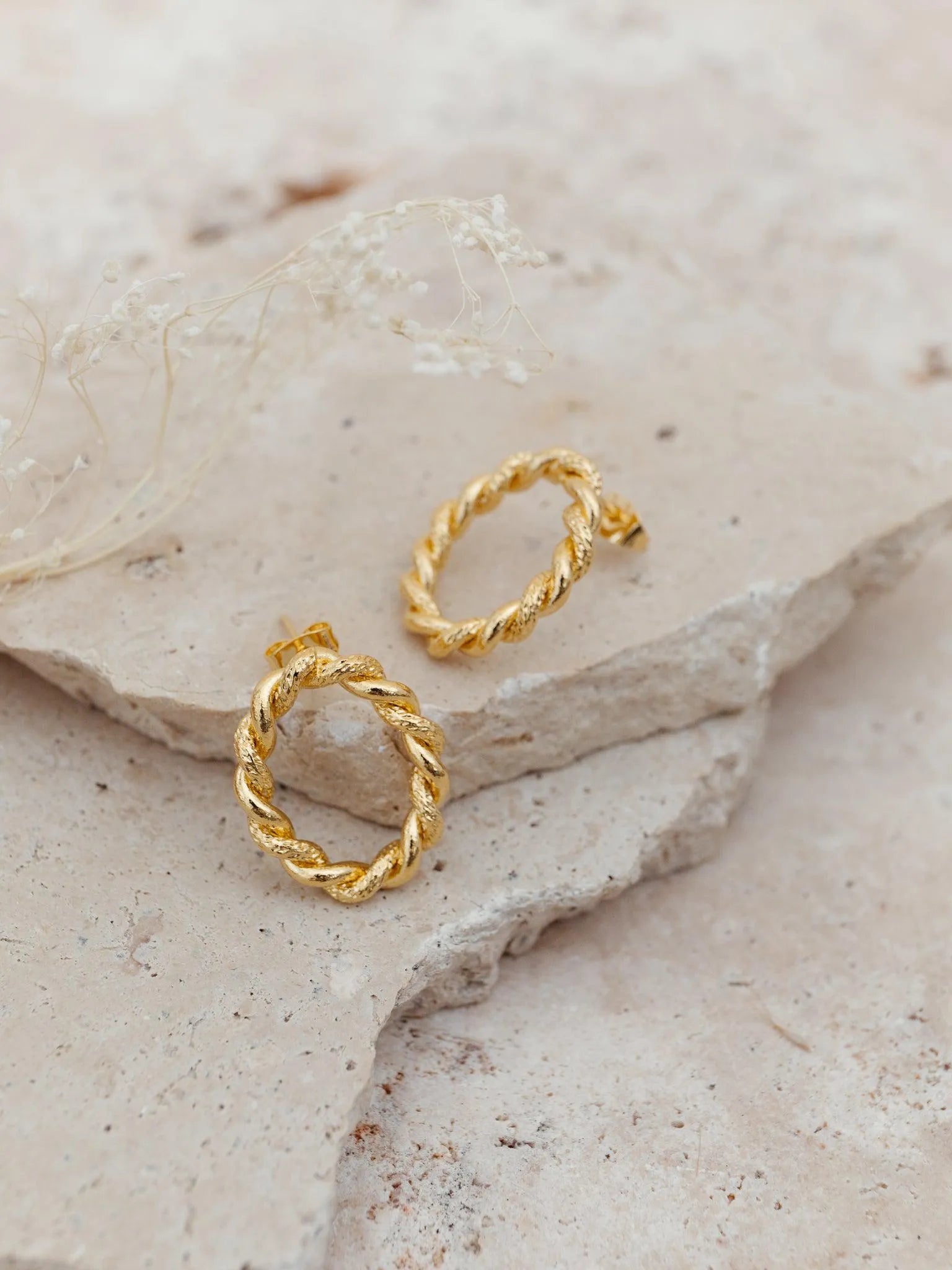 LEVY BO-Doré-Les Petites Pampilles